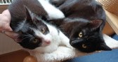 Cabral_und_Co (6)